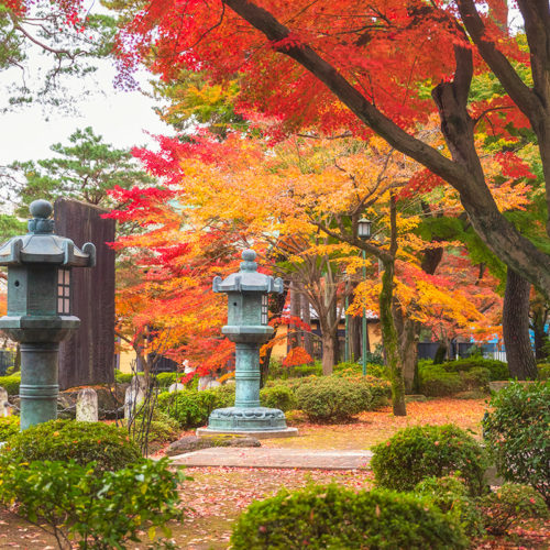 le temple des maneki-neko à Tokyo en automne