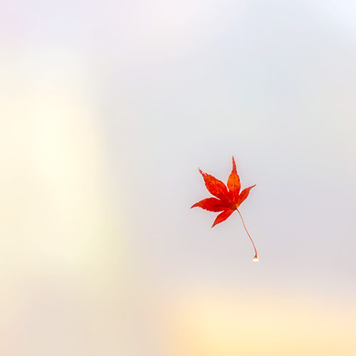 automne au japon