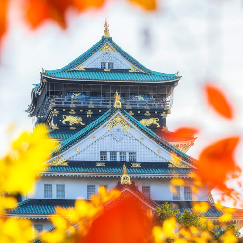 l'automne au japon. Le château d'Osaka entre des feuilles d'automne.