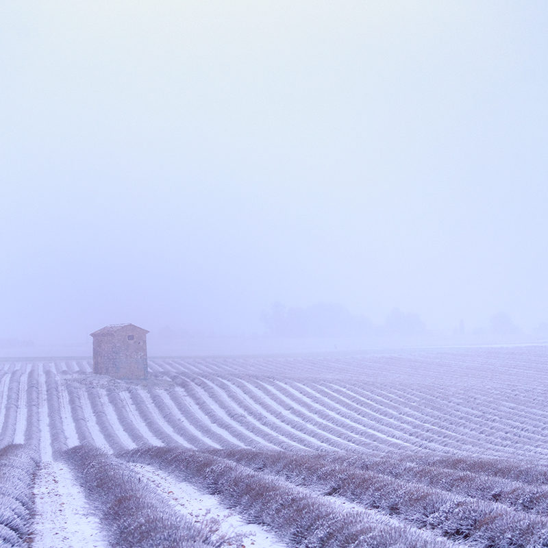 Le Parc Naturel Régional du Verdon sous la neige