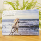 calendrier 2027 camargue