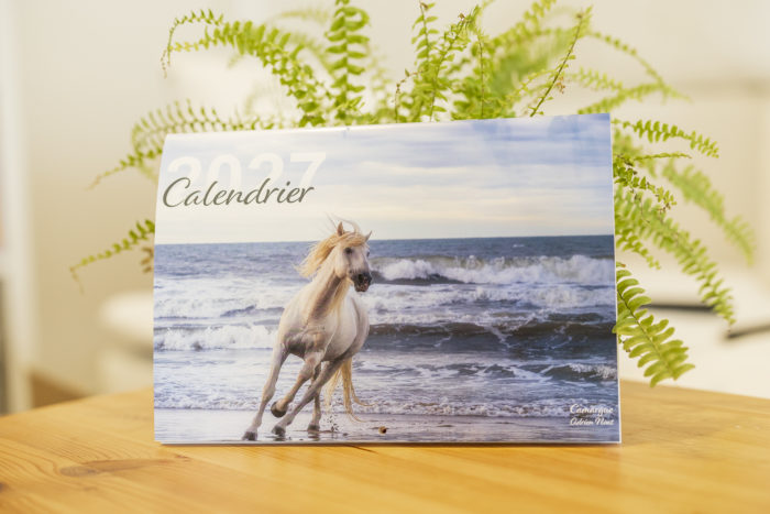 calendrier 2027 camargue