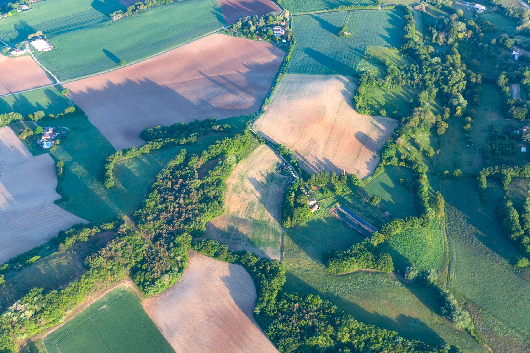 champs du pays de Forcalquier depuis la montgolfière