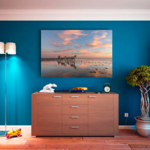 Reflets à l’aube camarguais