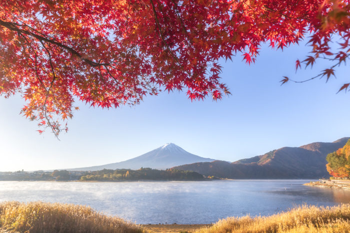 Mont Fuji et lac Kawaguchi encadrés par des érables rouges en automne au Japon