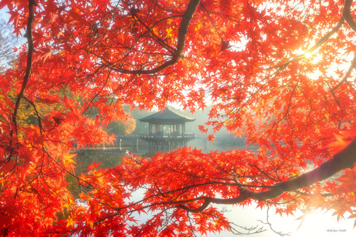 Lever de soleil à Nara au Japon avec silhouettes devant un ciel rouge, rose et bleu